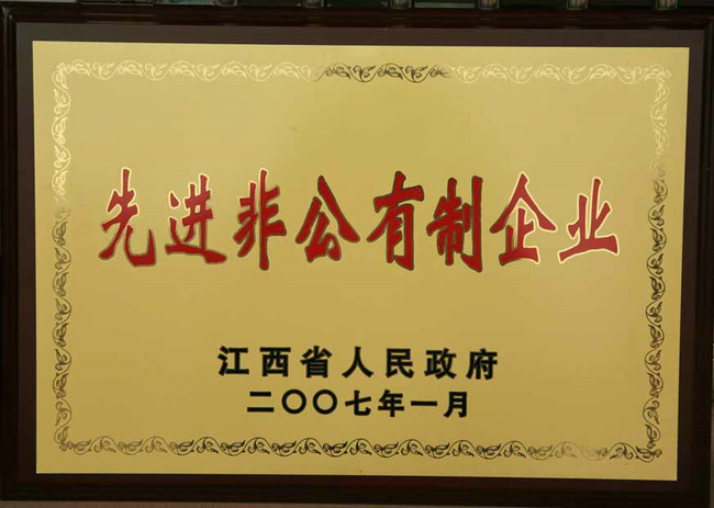先進非公有制企業